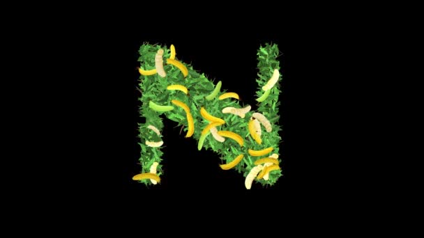 Alfabeto Botânico Tipografia: Carta 'N' em Banana com folhas e ramos, Este vídeo oferece uma mistura cativante de tipografia e natureza. - Filmagem, Vídeo