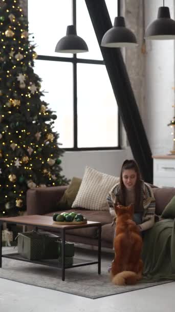 Celebrando la temporada juntos, un hermano, una hermana y su perro crean recuerdos preciados mientras juegan con ella junto al árbol de Navidad en casa. Imágenes de alta calidad 4k - Metraje, vídeo