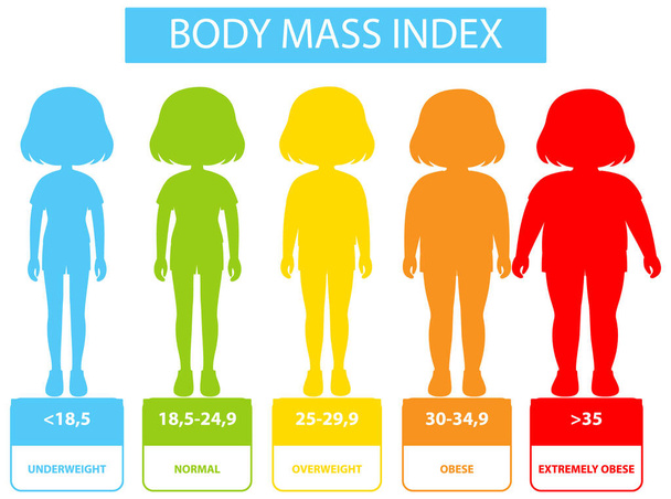 A BMI-kategóriák és -tartományok szemléltetése - Vektor, kép