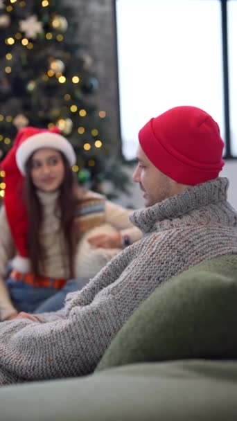 Zittend op de bank in een feestelijke kerstsfeer, speelt een familie koppel met hun hond. Hoge kwaliteit 4k beeldmateriaal - Video