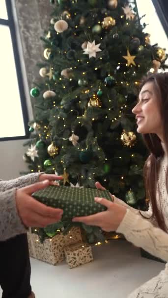 Compartiendo la emoción de la temporada, una pareja guapa y su perro abren regalos junto al árbol de Navidad. Imágenes de alta calidad 4k - Metraje, vídeo