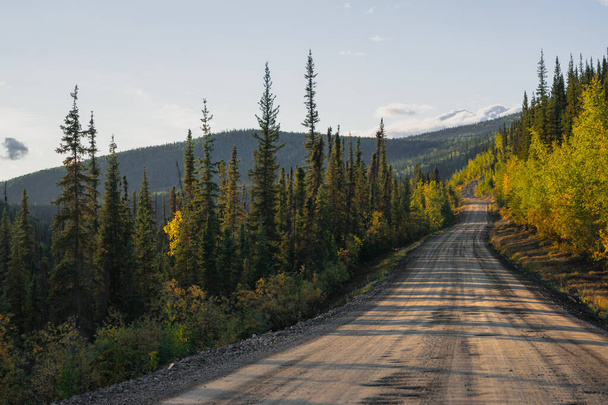 Tyhjä päällystämätön valtatie läpi Alaskan erämaan - Valokuva, kuva