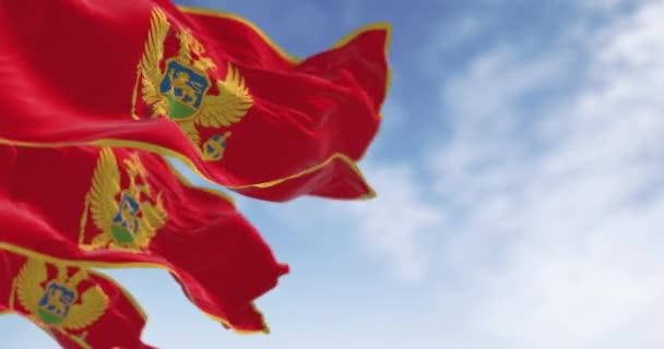 Εθνικές σημαίες του Μαυροβουνίου κυματίζουν σε μια καθαρή ημέρα. Κόκκινο με χρυσαφί περίγραμμα και με το εθνόσημο στο κέντρο του. Απρόσκοπτη 3d καθιστούν κινούμενα σχέδια. Βρόχο αργής κίνησης. Επιλεκτική εστίαση - Πλάνα, βίντεο