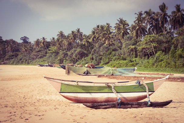Αλιευτικά σκάφη σε μια τροπική παραλία με φοίνικες στο του φόντο - Φωτογραφία, εικόνα
