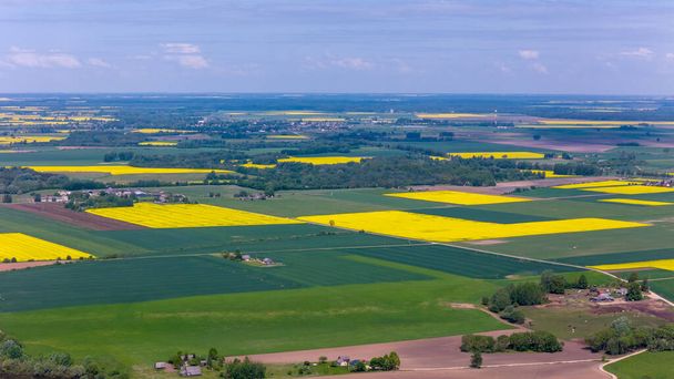 Sunny Day Over Yellow Rapineed Fields in Kdainiai District, Λιθουανία - Φωτογραφία, εικόνα
