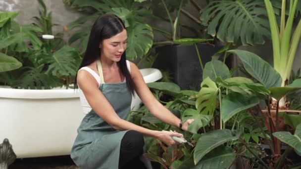 Young female gardener tending and trimming to tropical plant in minimalist architectural concrete style summer exotic plant foliage garden, home gardening for environmentalist lifestyle. Blithe - Footage, Video