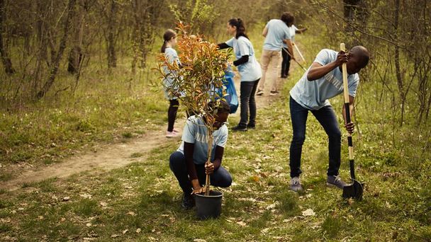 Ativistas ecológicos afro-americanos plantam mudas em um ambiente florestal, trabalhando juntos em unidade para preservar e proteger o habitat natural. Projecto de plantação de árvores. Câmara B. - Foto, Imagem