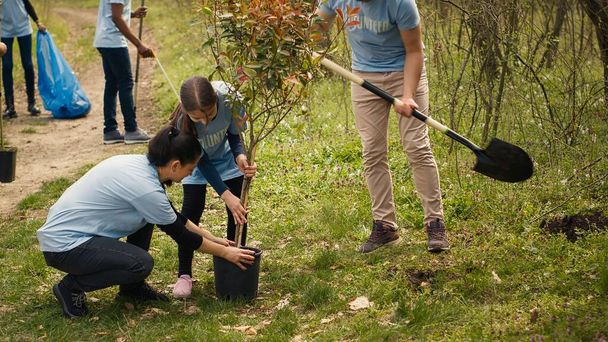 Önkéntesek csoportja fákat ültet az erdőterület körül természetvédelem és természetvédelem céljából, önkéntes munkát végez egy természetvédelmi projekt érdekében. Éghajlatváltozási aktivisták palántákat ültetnek. A kamera. - Fotó, kép