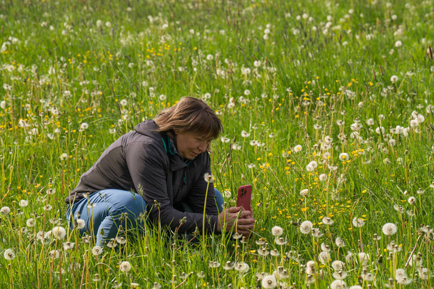 Une femme d'âge moyen aime la nature. Marchez dans un champ avec de l'herbe verte. Elle s'est assise et a pris des photos de pissenlits sur son smartphone. Concept de mode de vie actif à l'âge moyen - Photo, image