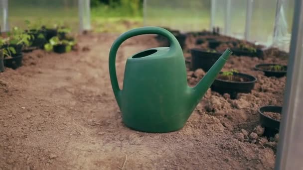 Close up of watering the plants from a watering can. Watering tomato and cucumber plant in vegetable garden. Organic gardening. High quality FullHD footage - Footage, Video
