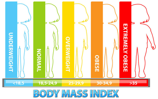 Visuelle Darstellung von BMI-Kategorien - Vektor, Bild