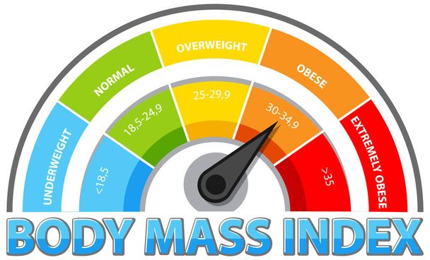 Colorful BMI gauge showing weight categories - Vector, Image