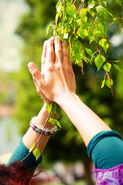 Весняна молитва, що обожнює цілющі сили весни, Дерево
 - Фото, зображення