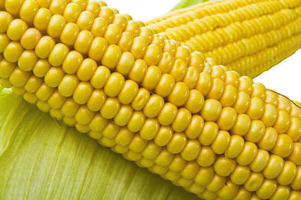 Sweet corn - Photo, image