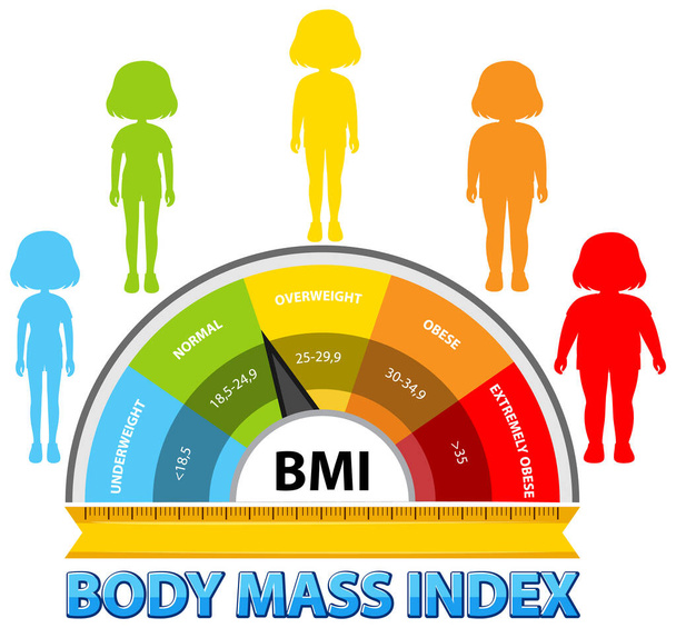 Kleurrijke BMI schaal met menselijke silhouetten - Vector, afbeelding
