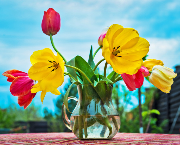 Geweldige gele en rode tulpen boeket in een vaas - Foto, afbeelding