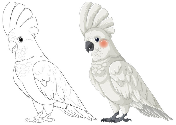 Illustration of a colored and line art cockatoo - Vector, Image