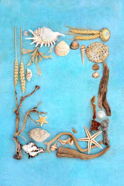 Φύση φυσικά αντικείμενα φόντο σύνορο με driftwood, κοχύλια, χλωρίδα. Λεπτομερής μελέτη σε στίγματα μπλε φόντο.  - Φωτογραφία, εικόνα
