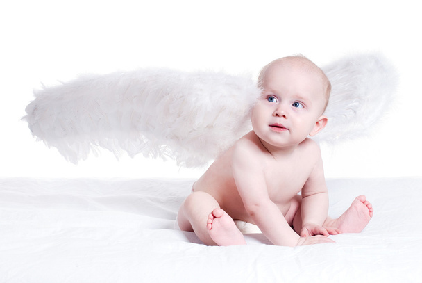 Baby angel - Photo, Image