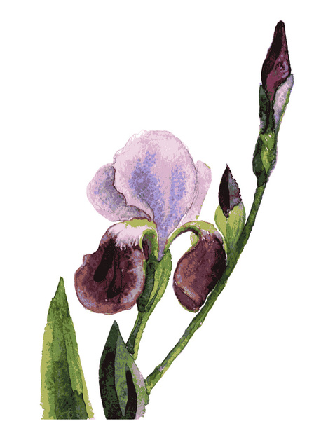 Hand Painted Wild flower - Vector, imagen