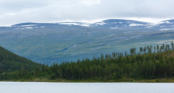 Summer fjord coast landscape (Norway). - 写真・画像