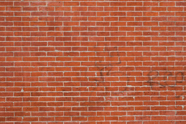 Mur de briques
 - Photo, image