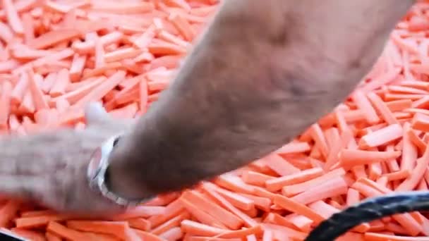 Karotten viel - Filmmaterial, Video