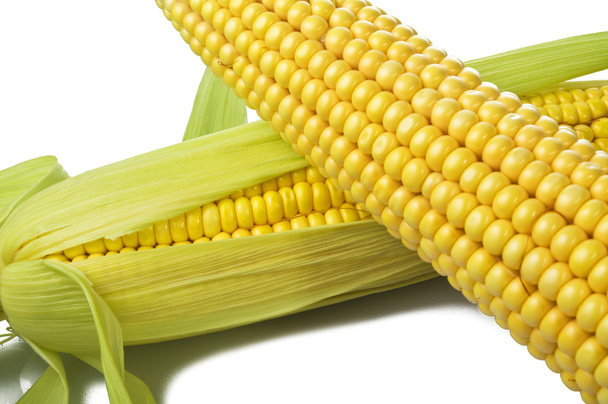 Fresh corn - Фото, изображение