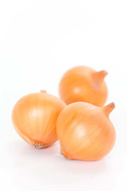 Small gold onions - Photo, Image