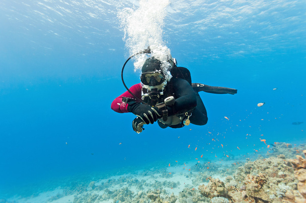  水の下で男性スキューバダイバー  - 写真・画像