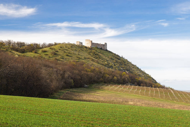 Die Ruinen der Burg Devicky auf den Pavlov-Bergen über dem Weinberg in Südmähren, Tschechien, Europa. - Foto, Bild