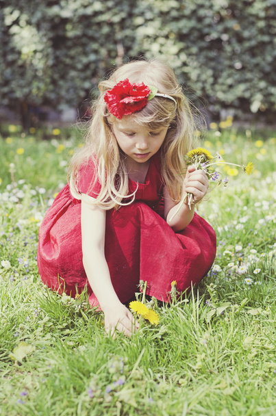 girl picking flowers - Fotografie, Obrázek
