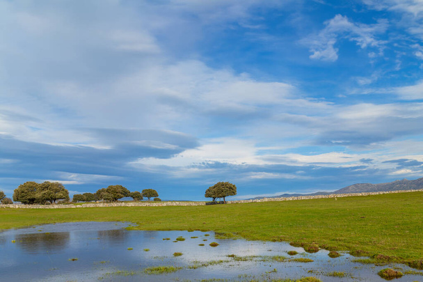 Táj fák, víz közelében Arroyo de la Luz tükröződik. Extremadura. Spanyolország. - Fotó, kép
