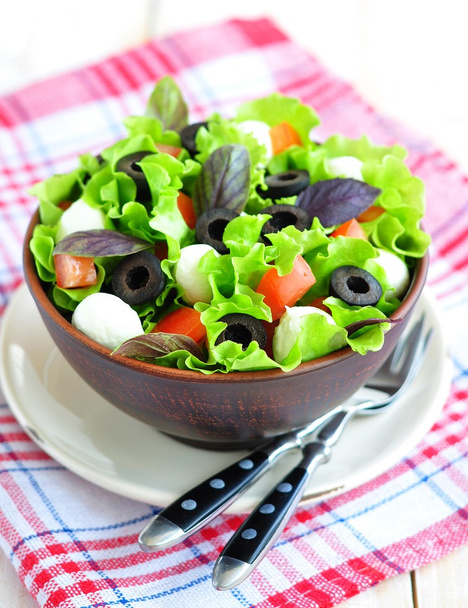 Verse salade met mozarella kaas, tomaten en olijven - Foto, afbeelding