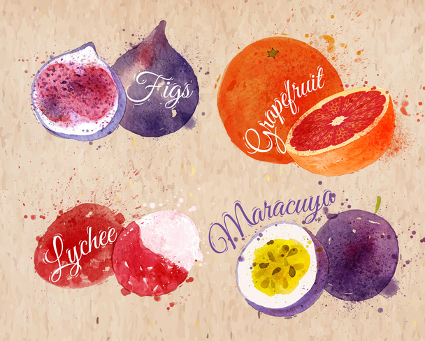 Fruits aquarelle figues, pamplemousse, litchi, kraft maracuya
 - Vecteur, image