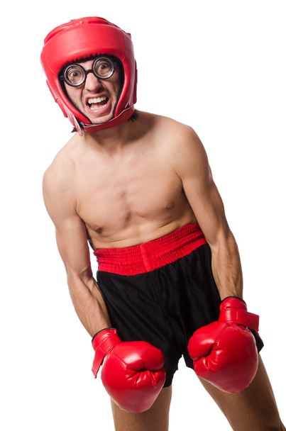 Boxer engraçado isolado
 - Foto, Imagem