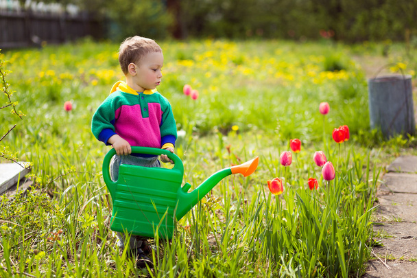 cute little boy watering flowers  - Φωτογραφία, εικόνα
