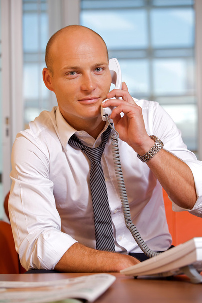 Businessman conversing on  phone - Φωτογραφία, εικόνα
