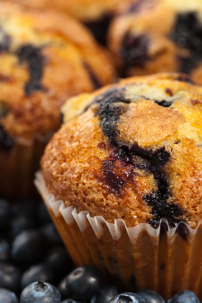 Áfonyás muffin - Fotó, kép
