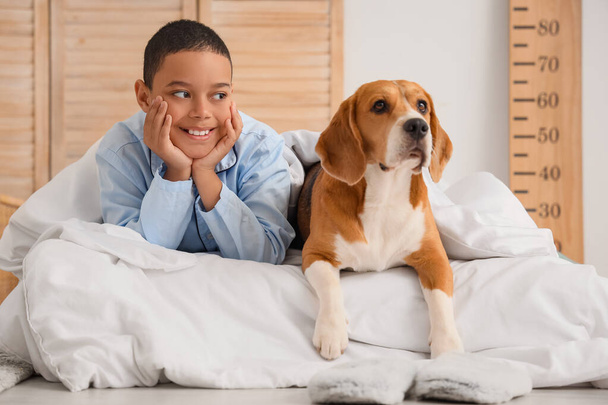 Little African-American boy lying on bed with cute beagle dog at home - Fotoğraf, Görsel
