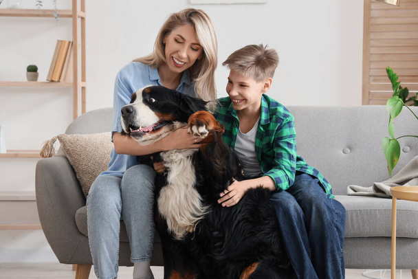 Little boy and his mother with Bernese mountain dog sitting on sofa at home - Foto, Imagen