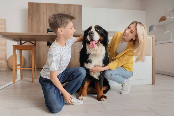 Little boy and his mother with Bernese mountain dog in kitchen - Fotó, kép