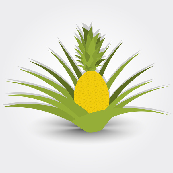 Ananas-Baum - Vektor, Bild