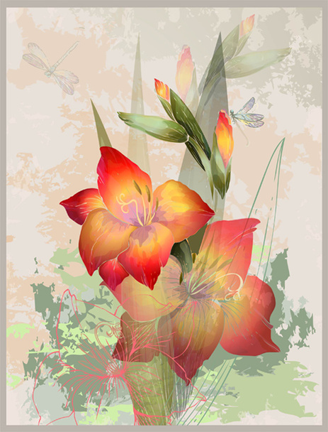 Greeting card with  gladiolus. Illustration gladiolus and dragon - Vector, imagen