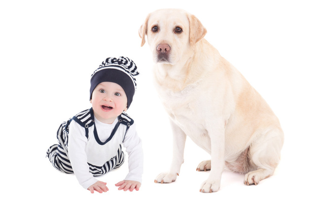 Happy baby boy i pięknego psa złoty retriever siedzi isolat - Zdjęcie, obraz