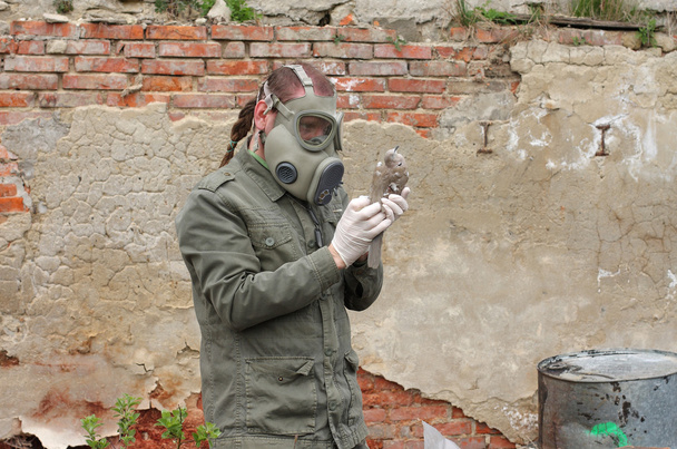 Людина з газовою маскою і зеленим військовим одягом досліджує мертвого птаха після хімічної катастрофи
. - Фото, зображення