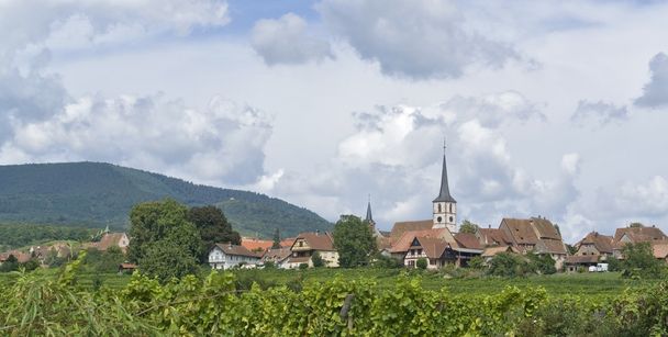 Mittelbergheim en Alsacia
 - Foto, imagen