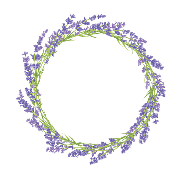 Circle of lavender flowers - Vector, Image