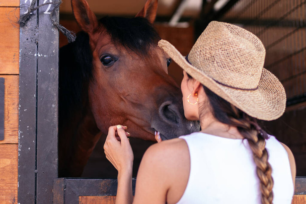 Nuori nainen hoitaa hevosta tallissa. Hevonen näyttää rauhalliselta ja rento, kun hoitaja antaa sille huomiota ja hoitoa. - Valokuva, kuva