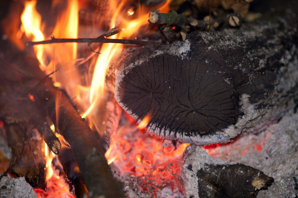 brand en brandhout - Foto, afbeelding